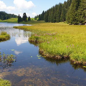 Gewässer