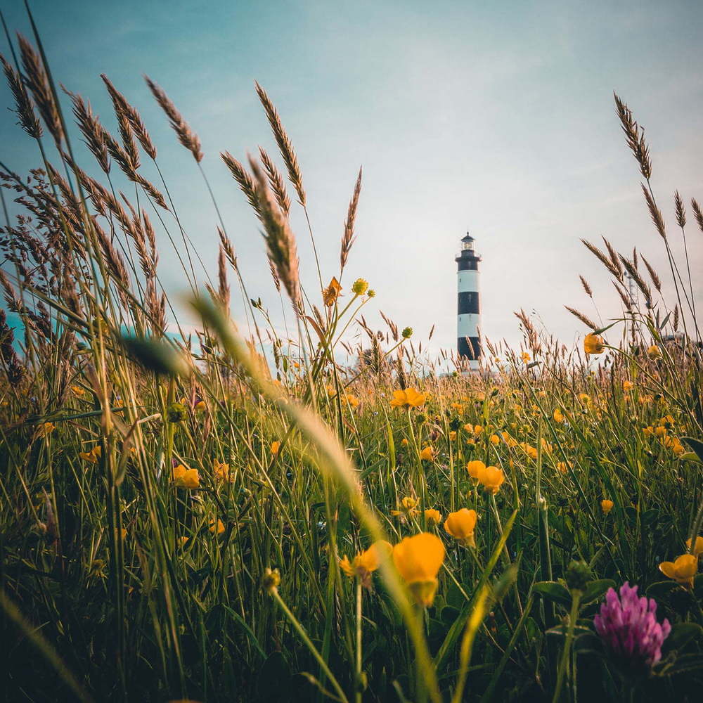 Leuchtturm am Meer