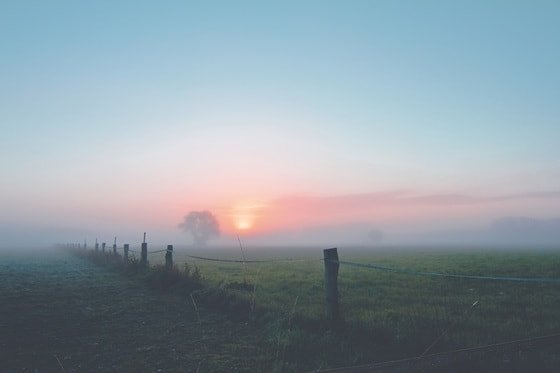 Welch Wunder ein jeder Morgen!