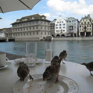 Schweizreise