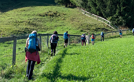 Pilgern auf der Via Nova Mondsee