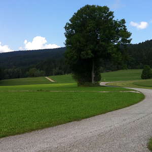 Weg