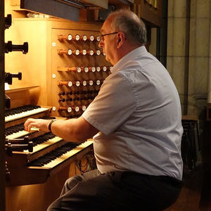 Domorganist Wolfgang Kreuzhuber an der Rudigierorgel